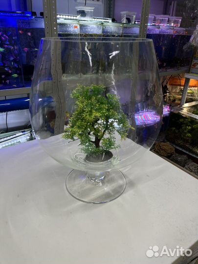 Аквариум круглый