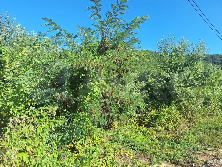 Участок 6 сот. (ИЖС)