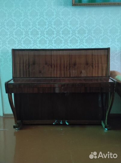 Пианино Кубань