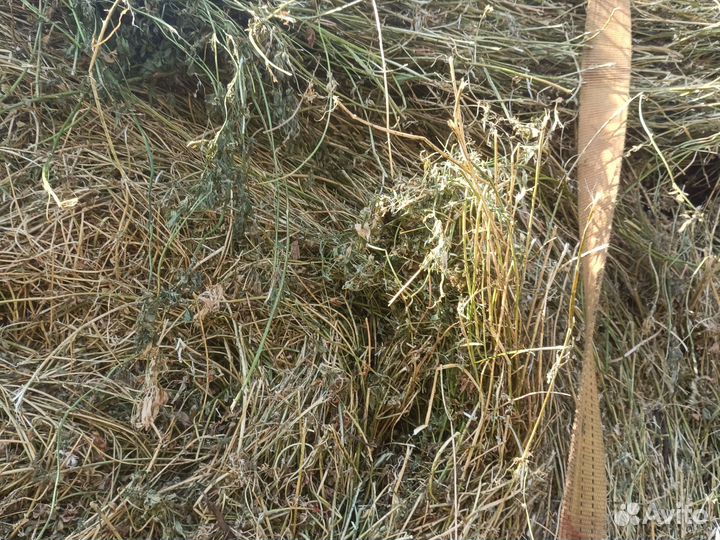 Продам сено хороший с доставкой