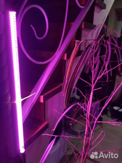 Фитосветильник для растений Uniel ULI-P20-18W