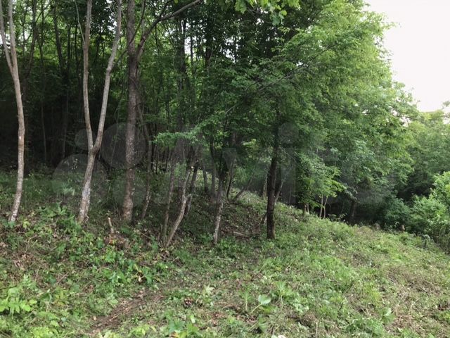 Участок 5,6 сот. (СНТ, ДНП)