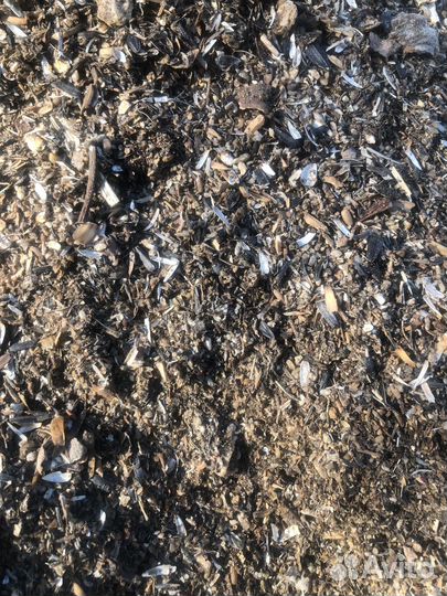 Отходы семечки