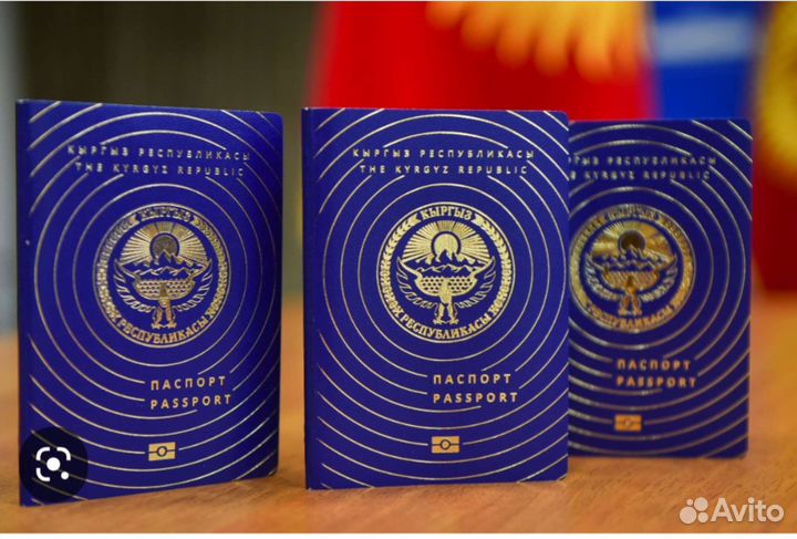 Гражданство Кыргызстана