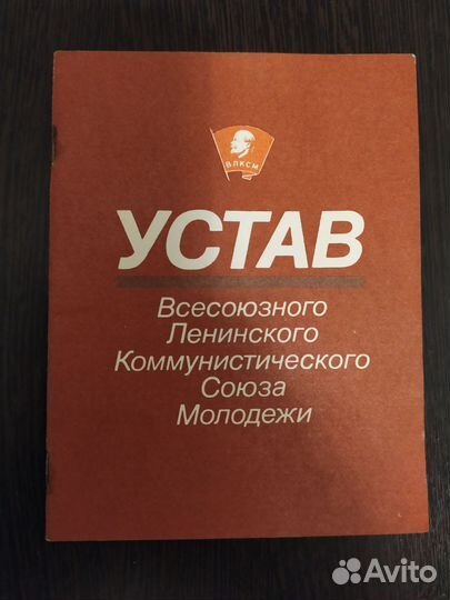 Устав влксм, Программа кпсс