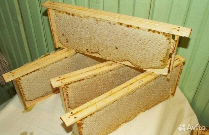 Натуральный Мёд из Дивногорья (разнотравье)