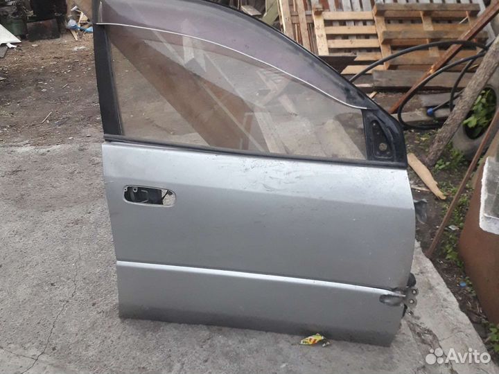 Дверь передняя, ипсум