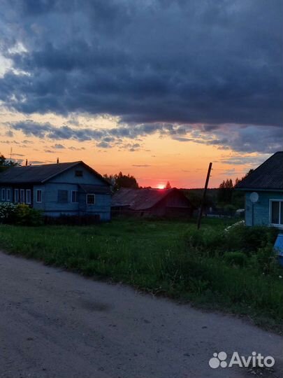 Продается дойная корова