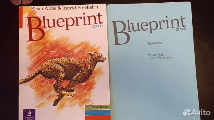 Intelligent business pre intermediate Blueprint