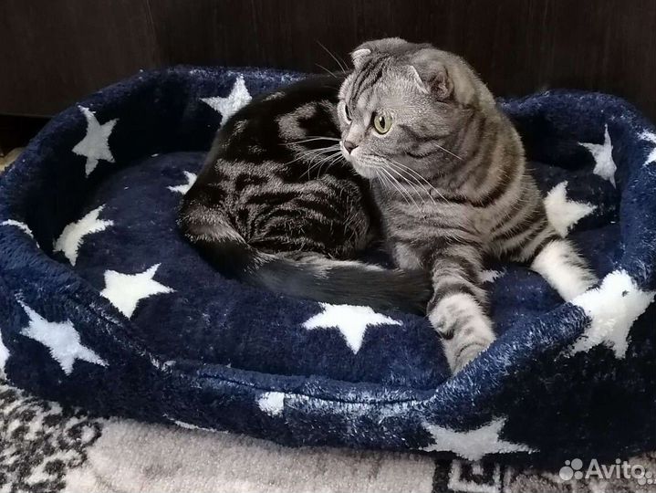 Лежанка для собак и кошек