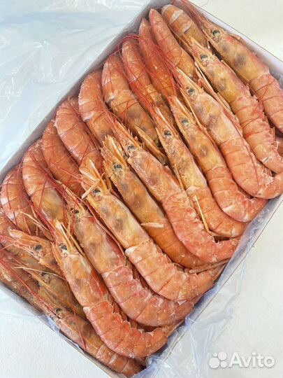 Лангустины