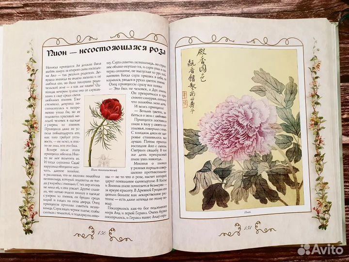 Лаврова. Царство Флоры. 2010 г