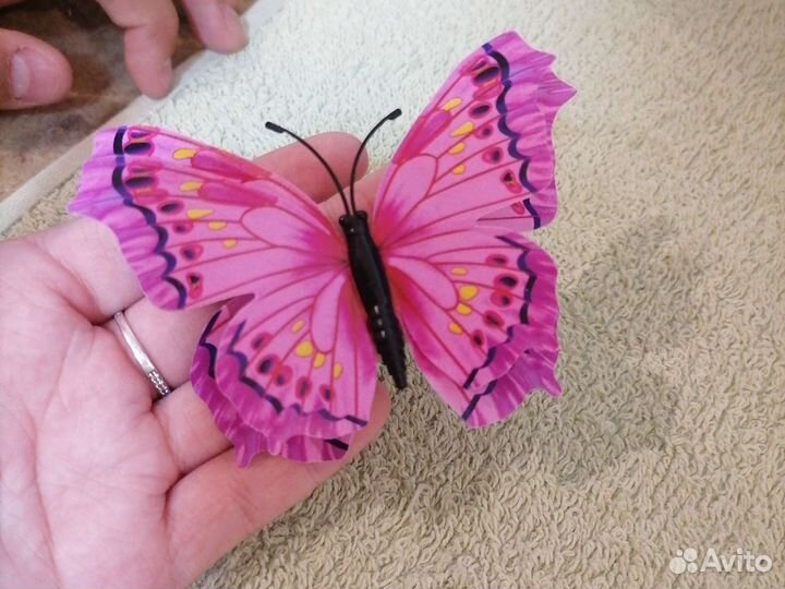 Живая бабочка на магните