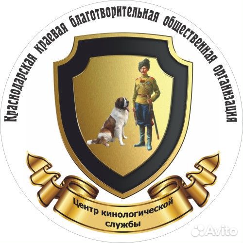 Скор документы