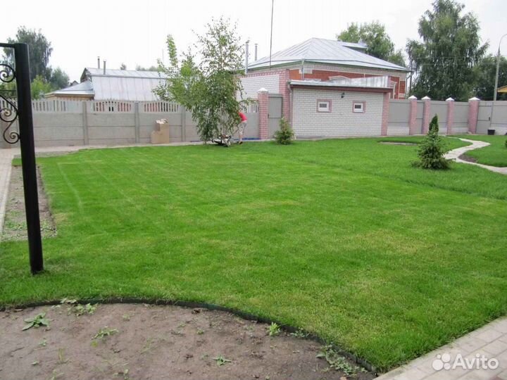 Рулонный газон напрямую от производителя