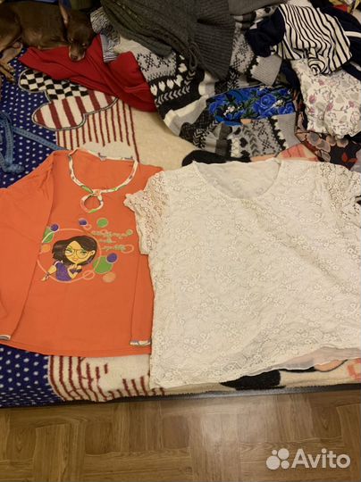 Женская одежда