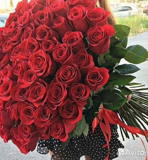 Розы Цветы Букеты 25 151 201 101 301 501 опт