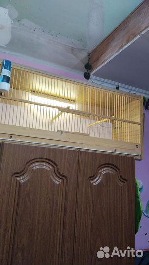 Бокс для птиц Обмен