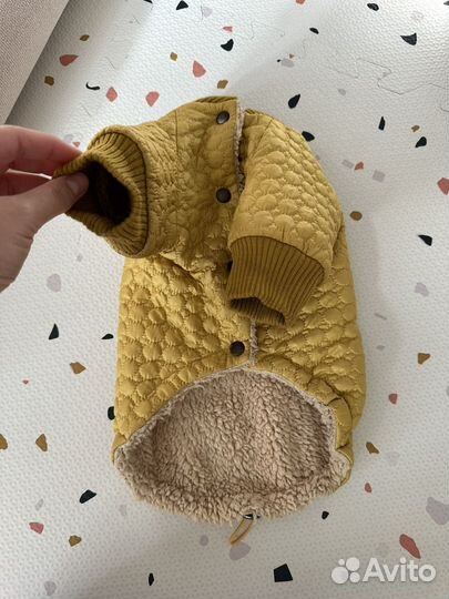 Одежда для собак мелких пород