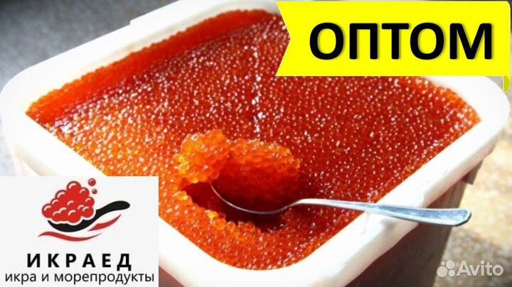 Икра горбуши 2023 Опт