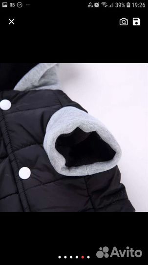 Зимняя куртка для собак