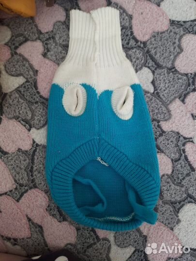 Одежда для маленьких собак