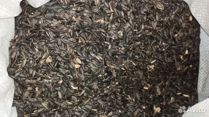 Семечки подсолнечника