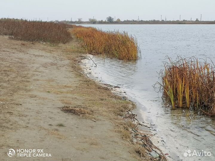 Организация рыбалки