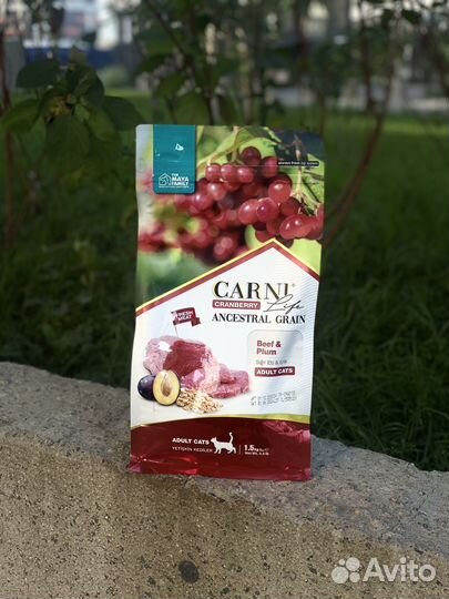 Корм для кошек