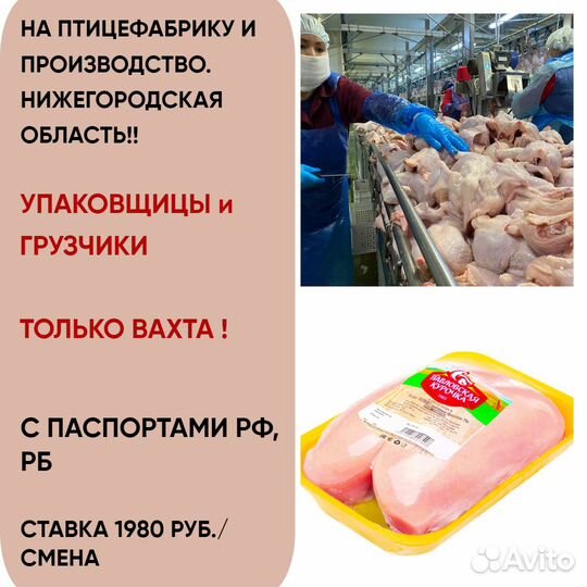 Разнорабочие на птицефабрику. Вахта. Нижегород.обл
