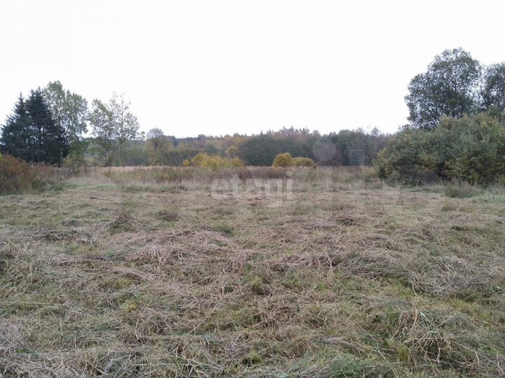 Участок 23,7 сот. (личное подсобное хозяйство (лпх))