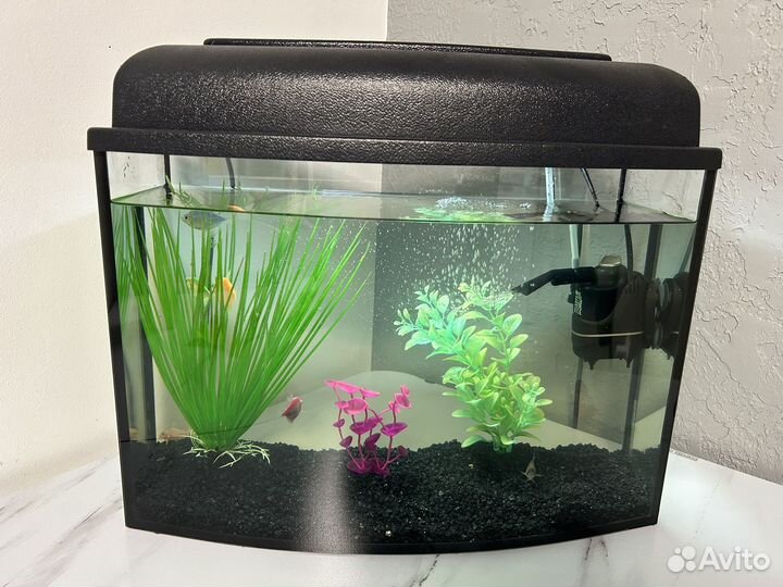 Аквариум с рыбками