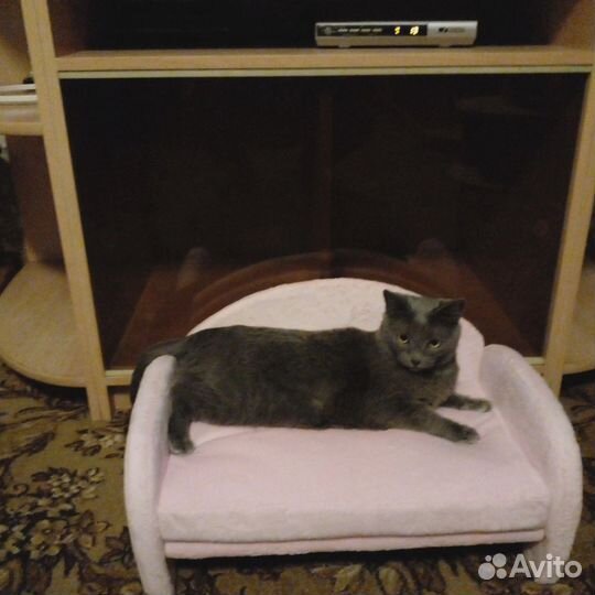 Лежанка для животных