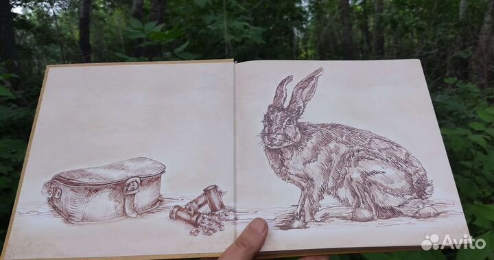 С. Т. Аксаков 