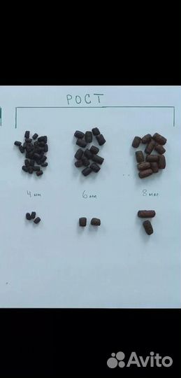 Корма для форели, клариевого сома, осетра, сиговых