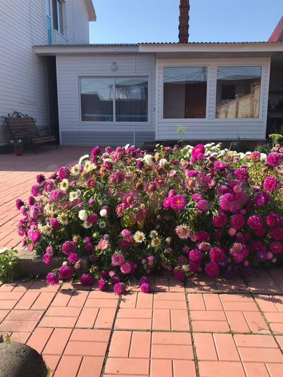 Коттедж 177 м² на участке 10 сот.