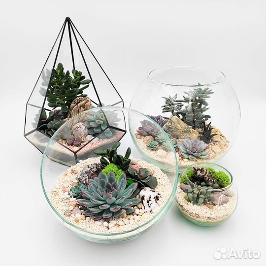 Флорариум с суккулентами в вазе