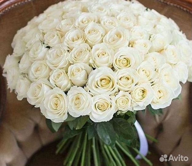 101 Роза Цветы Букеты 51 25 Роз Доставка