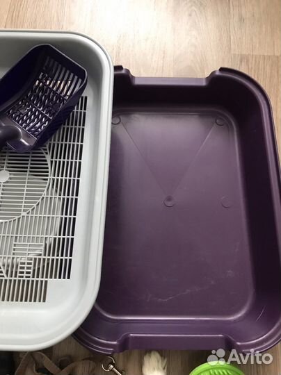 Всё для кота кошки котёнка