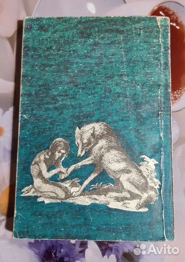 Детские книги времен ссср. Маугли, Волшебник изумр