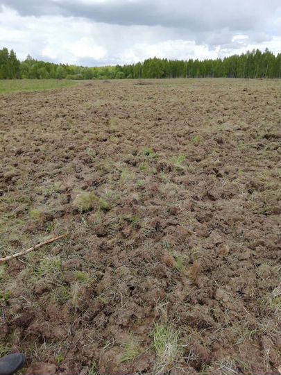 Участок 252 га (СНТ, ДНП)