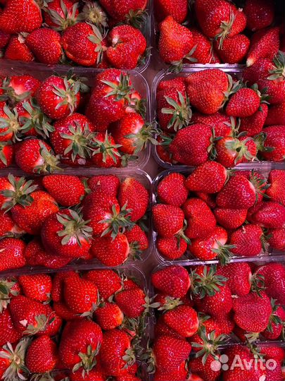 Продавец на овощи и фрукты