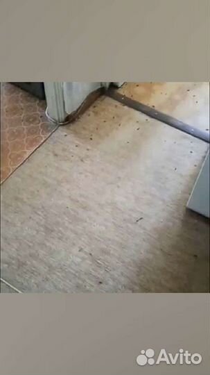 Капсулы (большие) от тараканов и насекомых