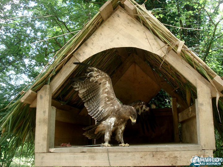 Гостеприимство кавказа все включено
