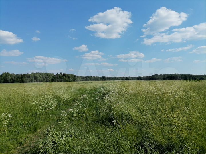 Участок 12 га (СНТ, ДНП)
