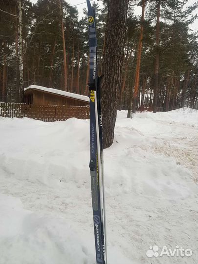 Беговые лыжи