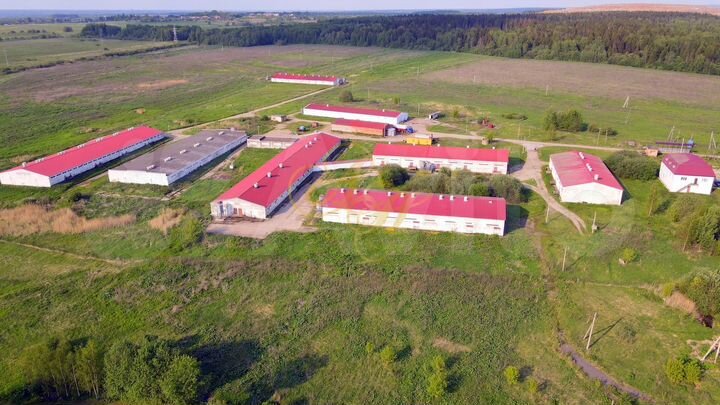 Фермерское хозяйство