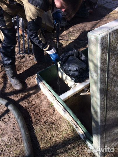 Откачка септиков и выгребных ям, Ассенизатор