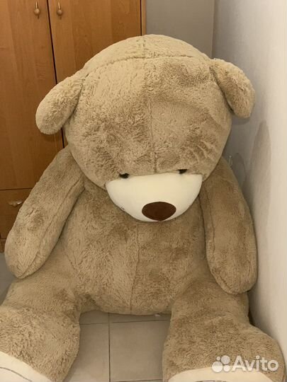 Плюшевый медведь