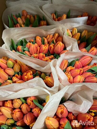Тюльпаны к 8 марта оптом